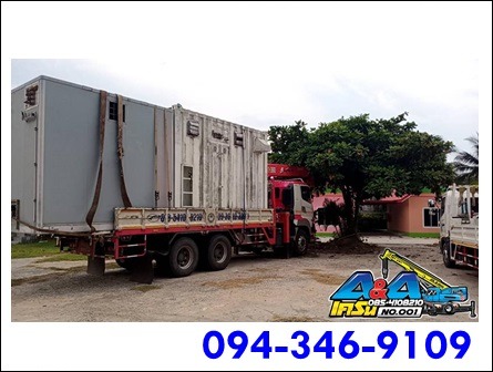 บริการขนย้ายต้นไม้